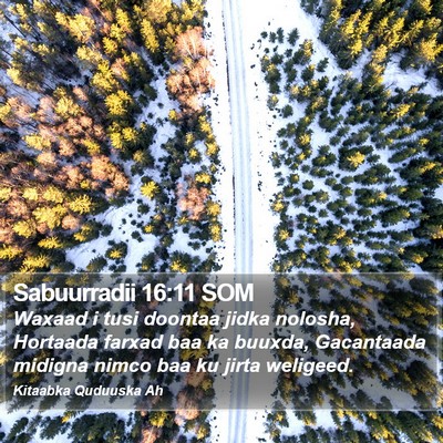 Sabuurradii 16:11 SOM Bible Verse Image