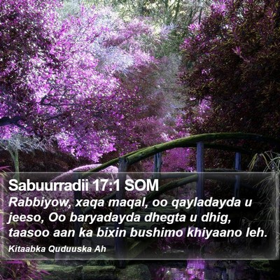 Sabuurradii 17:1 SOM Bible Verse Image
