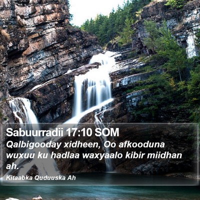 Sabuurradii 17:10 SOM Bible Verse Image