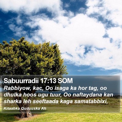 Sabuurradii 17:13 SOM Bible Verse Image