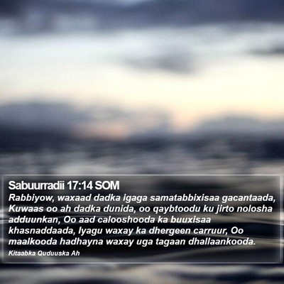 Sabuurradii 17:14 SOM Bible Verse Image