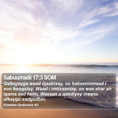Sabuurradii 17:3 SOM Bible Verse Image