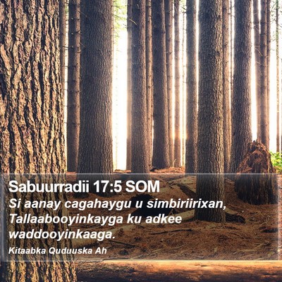 Sabuurradii 17:5 SOM Bible Verse Image