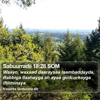Sabuurradii 18:28 SOM Bible Verse Image