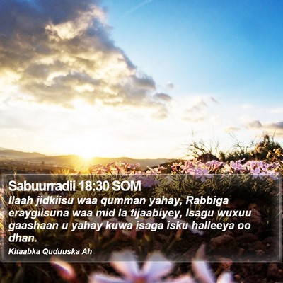 Sabuurradii 18:30 SOM Bible Verse Image