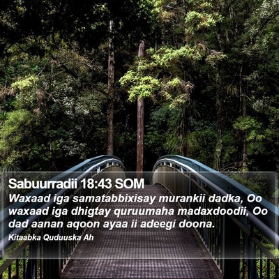 Sabuurradii 18:43 SOM Bible Verse Image