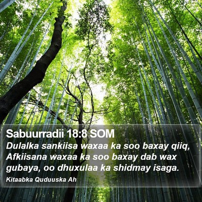 Sabuurradii 18:8 SOM Bible Verse Image