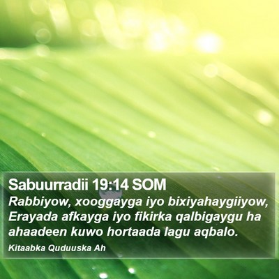 Sabuurradii 19:14 SOM Bible Verse Image