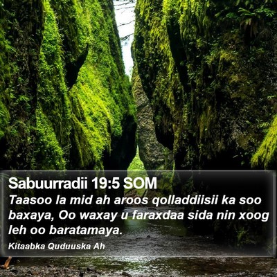 Sabuurradii 19:5 SOM Bible Verse Image