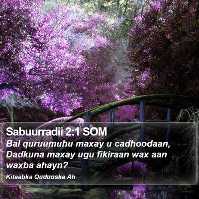 Sabuurradii 2:1 SOM Bible Verse Image