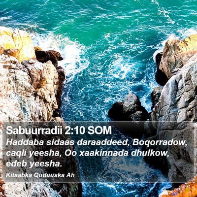 Sabuurradii 2:10 SOM Bible Verse Image