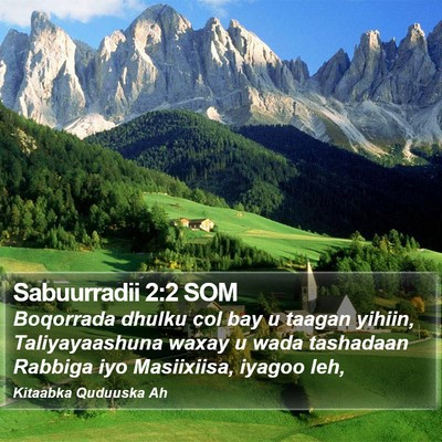 Sabuurradii 2:2 SOM Bible Verse Image