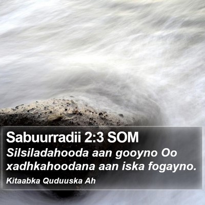 Sabuurradii 2:3 SOM Bible Verse Image