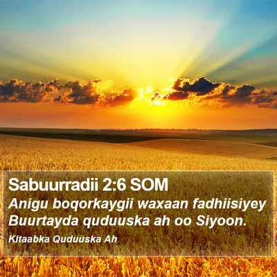 Sabuurradii 2:6 SOM Bible Verse Image