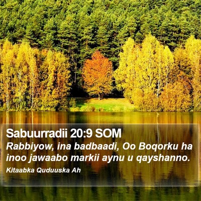 Sabuurradii 20:9 SOM Bible Verse Image