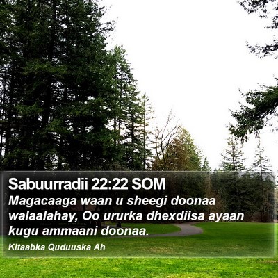 Sabuurradii 22:22 SOM Bible Verse Image
