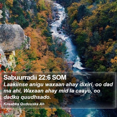 Sabuurradii 22:6 SOM Bible Verse Image