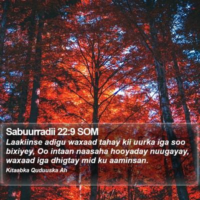 Sabuurradii 22:9 SOM Bible Verse Image