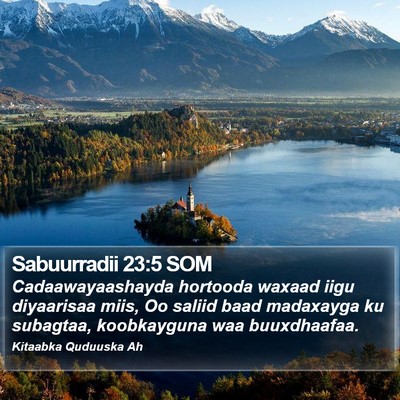 Sabuurradii 23:5 SOM Bible Verse Image