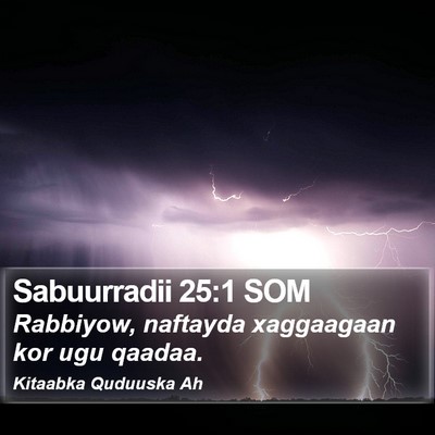 Sabuurradii 25:1 SOM Bible Verse Image