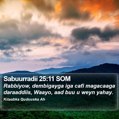 Sabuurradii 25:11 SOM Bible Verse Image