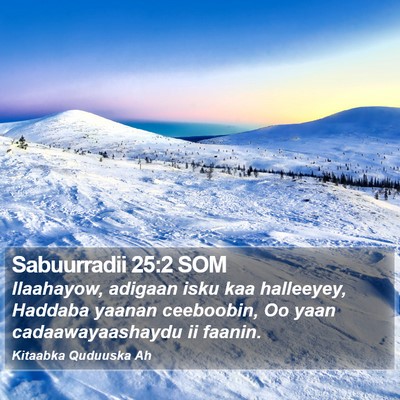 Sabuurradii 25:2 SOM Bible Verse Image