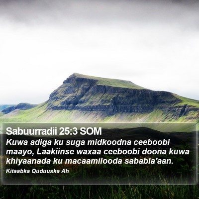 Sabuurradii 25:3 SOM Bible Verse Image