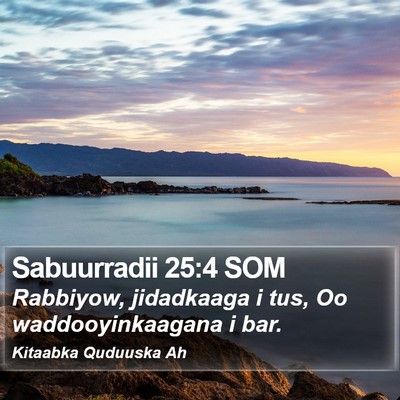 Sabuurradii 25:4 SOM Bible Verse Image