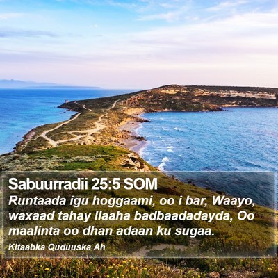 Sabuurradii 25:5 SOM Bible Verse Image