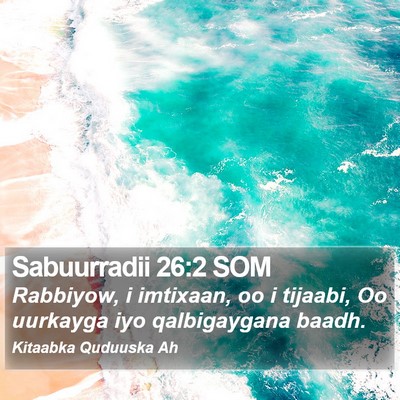 Sabuurradii 26:2 SOM Bible Verse Image