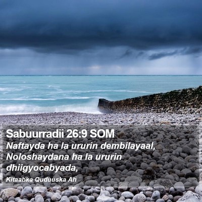 Sabuurradii 26:9 SOM Bible Verse Image