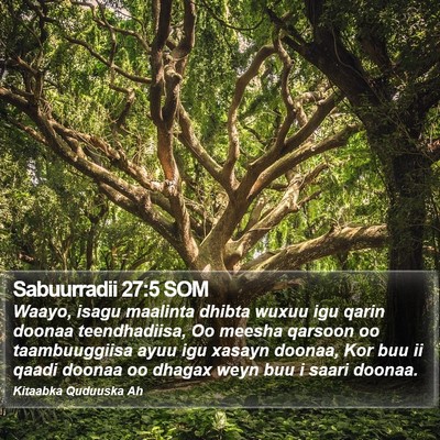 Sabuurradii 27:5 SOM Bible Verse Image
