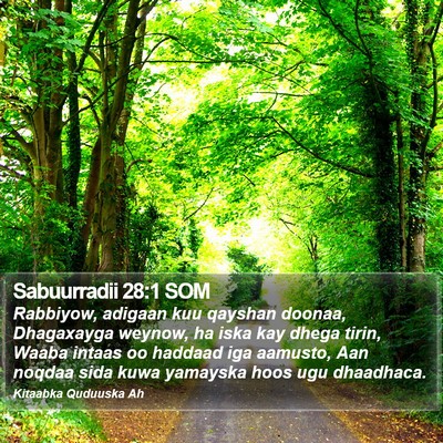 Sabuurradii 28:1 SOM Bible Verse Image