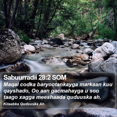 Sabuurradii 28:2 SOM Bible Verse Image