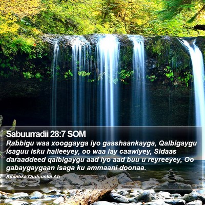 Sabuurradii 28:7 SOM Bible Verse Image