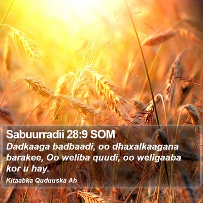 Sabuurradii 28:9 SOM Bible Verse Image