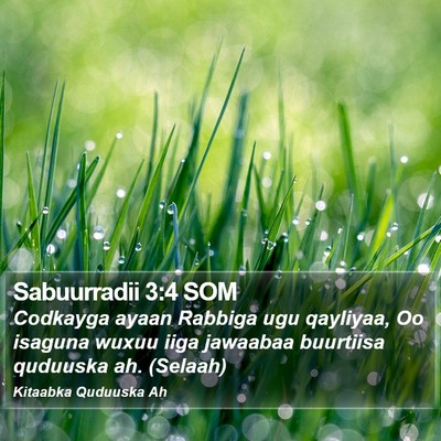 Sabuurradii 3:4 SOM Bible Verse Image