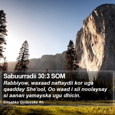 Sabuurradii 30:3 SOM Bible Verse Image