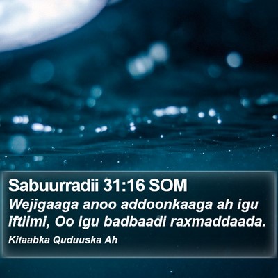 Sabuurradii 31:16 SOM Bible Verse Image