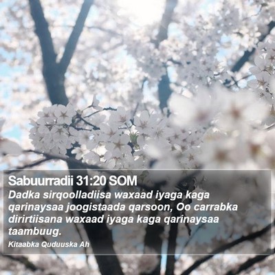 Sabuurradii 31:20 SOM Bible Verse Image