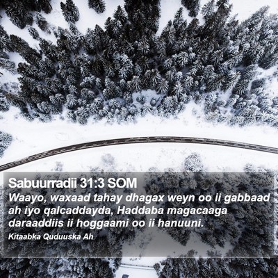 Sabuurradii 31:3 SOM Bible Verse Image
