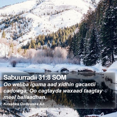 Sabuurradii 31:8 SOM Bible Verse Image
