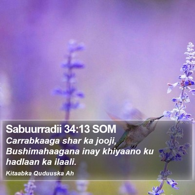 Sabuurradii 34:13 SOM Bible Verse Image