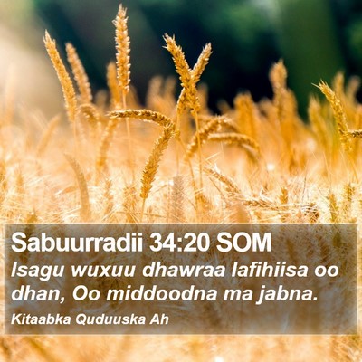 Sabuurradii 34:20 SOM Bible Verse Image