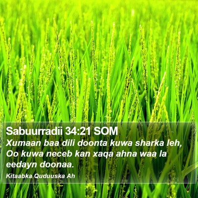 Sabuurradii 34:21 SOM Bible Verse Image