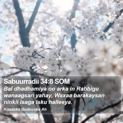 Sabuurradii 34:8 SOM Bible Verse Image