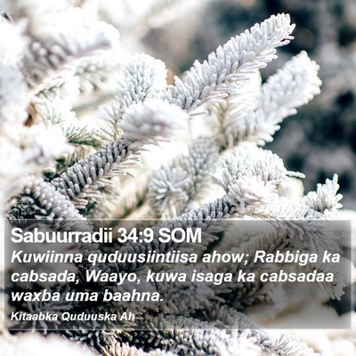 Sabuurradii 34:9 SOM Bible Verse Image