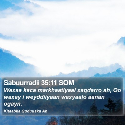 Sabuurradii 35:11 SOM Bible Verse Image