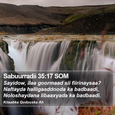 Sabuurradii 35:17 SOM Bible Verse Image