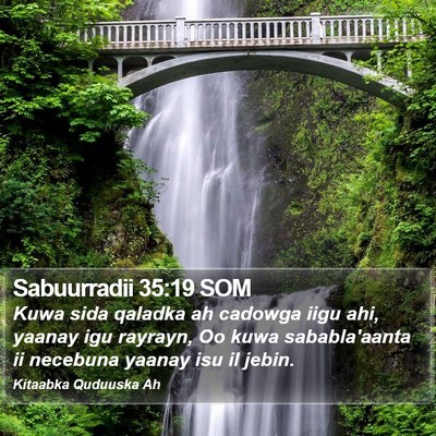 Sabuurradii 35:19 SOM Bible Verse Image